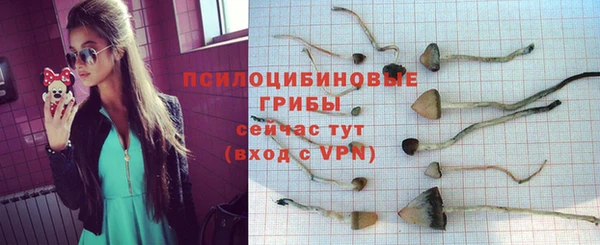 ALPHA-PVP Алексин