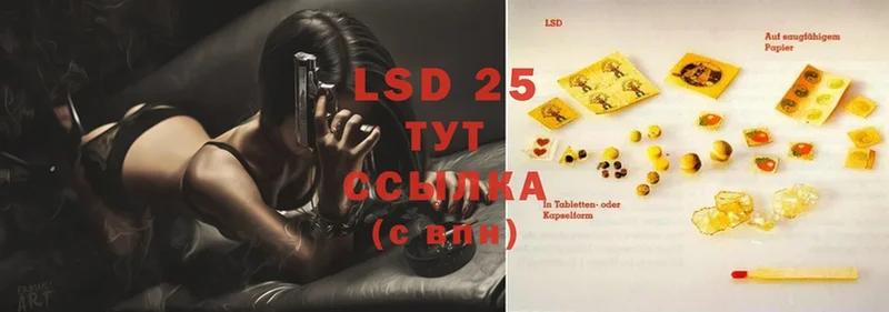 hydra tor  купить закладку  Грязовец  LSD-25 экстази ecstasy 