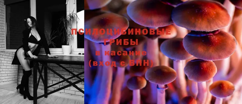 Галлюциногенные грибы Magic Shrooms  Грязовец 